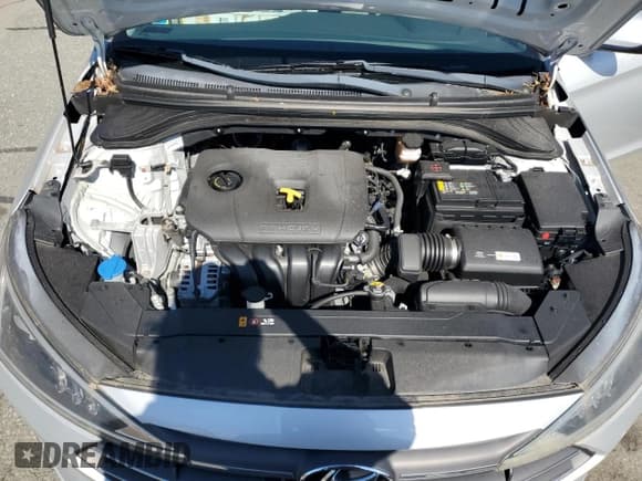 ✅ 2019 Hyundai Elantra SE • VIN: KMHD74LF5KU833322 • Lot: 81801795. Listed on Copart with 15,302 mi. Free auction sales archive from the USA and detailed vehicle history report at DreamBid. Image 11.