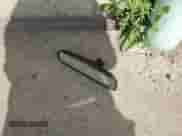 2013 Hyundai Tucson GL with VIN KM8JT3ACXDU556283, listed as a Copart auction lot 64970585 with 227,610 mi miles and Salvage title. Bid and sale history available at DreamBid. Image 13.