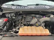 ✅ 2019 Ford F-150 XL • VIN: 1FTEX1C56KKC45603 • Lot: 42505006. Listed on IAAI with 180,972 mi. Free auction sales archive from the USA and detailed vehicle history report at DreamBid. Image 10.