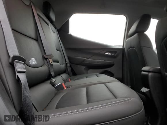 ✅ 2023 Chevrolet Bolt EV 2LT • VIN: 1G1FX6S09P4103208 • Lot: 43423945. Wystawiony na Copart z przebiegiem 24 026 mil. Bezpłatny archiwum sprzedaży aukcyjnych z USA i szczegółowy raport historii pojazdu na DreamBid. Zdjęcie 10.