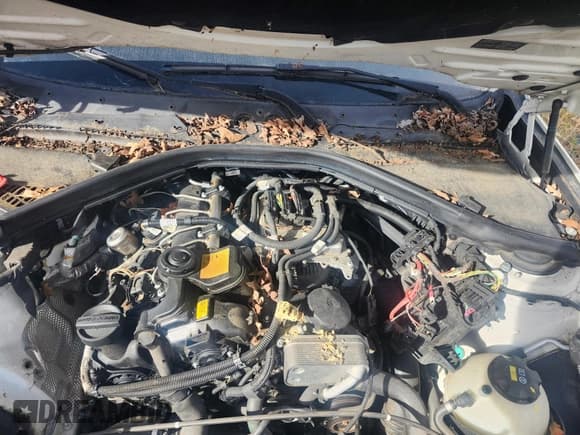 ✅ 2015 BMW 3 Series 320i xDrive • VIN: WBA3C3C5XFP664476 • Lot: 43423718. Listed on IAAI with Not provided. Free auction sales archive from the USA and detailed vehicle history report at DreamBid. Image 10.