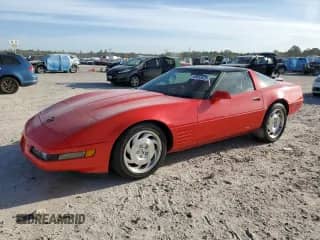 1994 Chevrolet Corvette with VIN 1G1YY22P8R5114158, listed as a Copart auction lot 49653625 with Not provided miles and Salvage title. Bid and sale history available at DreamBid. Image 1.