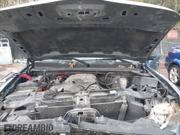 ✅ 2008 Chevrolet Silverado 1500 LS • VIN: 2GCEK13C981245858 • Лот: 43387544. Опубликован ранее на IAAI с пробегом 319 947 миль. Бесплатный доступ к архиву аукционных продаж из США и подробный отчёт об истории автомобиля на DreamBid. Изображение 10.