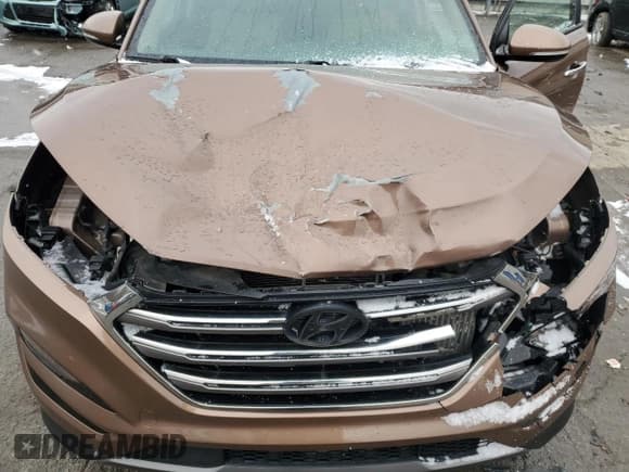 ✅ 2016 Hyundai Tucson Limited • VIN: KM8J33A29GU073802 • Лот: 91967875. Опубликован ранее на Copart с пробегом 56 952 миль. Бесплатный доступ к архиву аукционных продаж из США и подробный отчёт об истории автомобиля на DreamBid. Изображение 12.