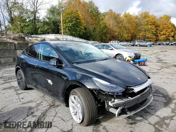 ✅ 2024 Tesla Model Y Long Range • VIN: 7SAYGDEE1RA226931 • Lot: 84868285. Listed on Copart with Not provided. Free auction sales archive from the USA and detailed vehicle history report at DreamBid. Image 13.