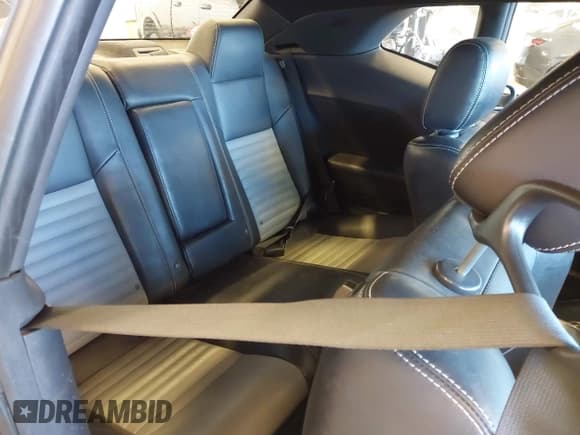 ✅ 2010 Dodge Challenger SE • VIN: 2B3CJ4DV7AH142495 • Lot: 41369853. Wystawiony na IAAI z przebiegiem 191 943 mil. Bezpłatny archiwum sprzedaży aukcyjnych z USA i szczegółowy raport historii pojazdu na DreamBid. Zdjęcie 8.