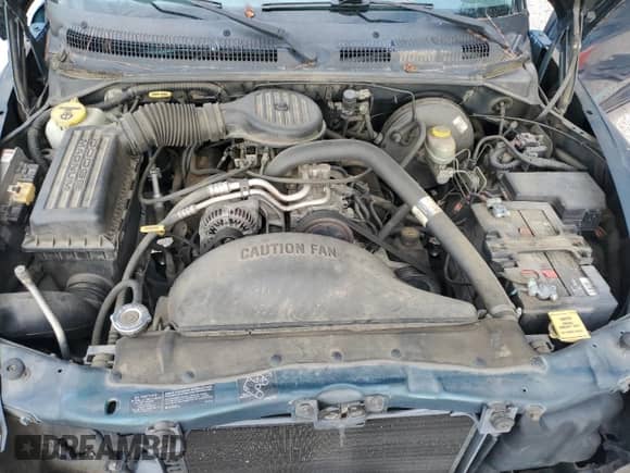 1998 Dodge Dakota SLT with VIN 1B7GL22X0WS571187, listed as a Copart auction lot 81722905 with 129,295 mi miles and Salvage title. Bid and sale history available at DreamBid. Image 11.