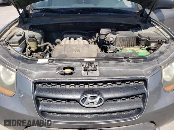 ✅ 2009 Hyundai Santa Fe GLS • VIN: 5NMSG13D89H290719 • Lot: 72394784. Listed on Copart with 268,528 mi. Free auction sales archive from the USA and detailed vehicle history report at DreamBid. Image 12.