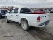 ✅ 2000 Dodge Dakota Sport • VIN: 1B7GG2AN2YS794418 • Lot: 85049154. Wystawiony na Copart z przebiegiem 165 444 mil. Bezpłatny archiwum sprzedaży aukcyjnych z USA i szczegółowy raport historii pojazdu na DreamBid. Zdjęcie 2.