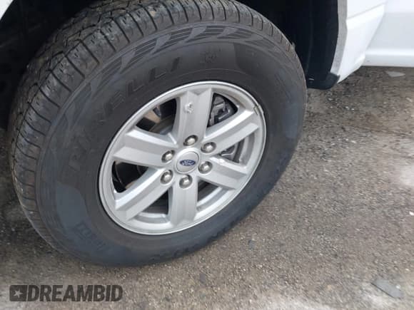 ✅ 2023 Ford F-150 XL • VIN: 1FTFX1E58PKE63521 • Lot: 42186310. Wystawiony na IAAI z przebiegiem 18 853 mil. Bezpłatny archiwum sprzedaży aukcyjnych z USA i szczegółowy raport historii pojazdu na DreamBid. Zdjęcie 12.