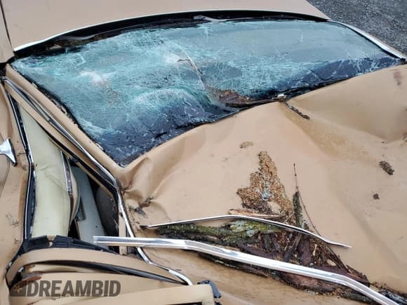 ✅ 1977 Buick LeSabre • VIN: 4N69Y7H539222 • Lot: 50199295. Wystawiony na Copart z przebiegiem Nie podano. Bezpłatny archiwum sprzedaży aukcyjnych z USA i szczegółowy raport historii pojazdu na DreamBid. Zdjęcie 8.