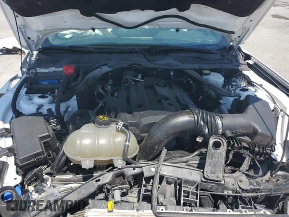 ✅ 2020 Ford Mustang EcoBoost • VIN: 1FATP8UH8L5179831 • Лот: 65932045. Опубликован ранее на Copart с пробегом 77 062 миль. Бесплатный доступ к архиву аукционных продаж из США и подробный отчёт об истории автомобиля на DreamBid. Изображение 12.