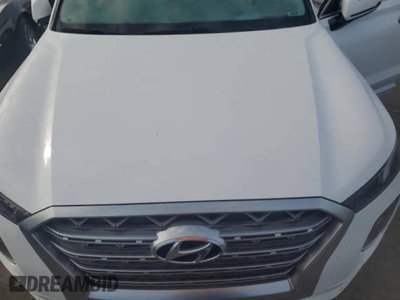 2020 Hyundai Palisade Limited с VIN KM8R54HE1LU109561, выставлен на аукционе Copart как лот 74766374 с пробегом 32 114 миль миль и Списание • Salvage title. История ставок и продаж доступна на DreamBid. Изображение 12.