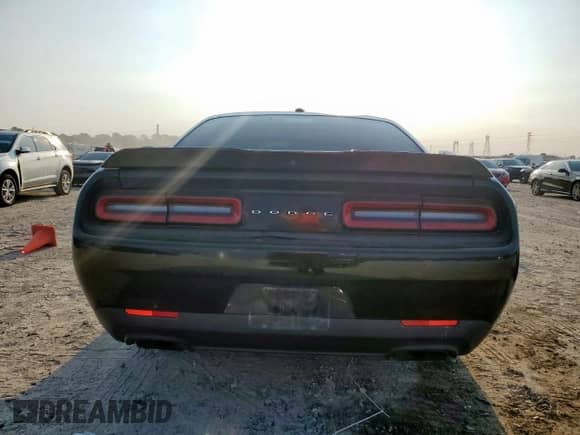 2019 Dodge Challenger R/T with VIN 2C3CDZBT8KH573745, listed as a Copart auction lot 81014575 with 114,189 mi miles and Salvage title. Bid and sale history available at DreamBid. Image 6.