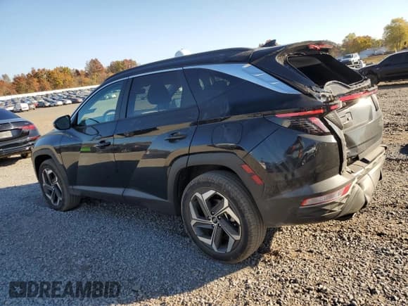 ✅ 2024 Hyundai Tucson SEL • VIN: 5NMJFCDE2RH378991 • Lot: 76823654. Wystawiony na Copart z przebiegiem 5 319 mil. Bezpłatny archiwum sprzedaży aukcyjnych z USA i szczegółowy raport historii pojazdu na DreamBid. Zdjęcie 2.