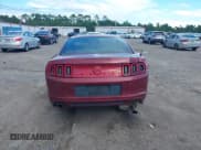 ✅ 2014 Ford Mustang V6 • VIN: 1ZVBP8AM5E5211979 • Лот: 43019247. Опубликован ранее на IAAI с пробегом 239 586 миль. Бесплатный доступ к архиву аукционных продаж из США и подробный отчёт об истории автомобиля на DreamBid. Изображение 15.