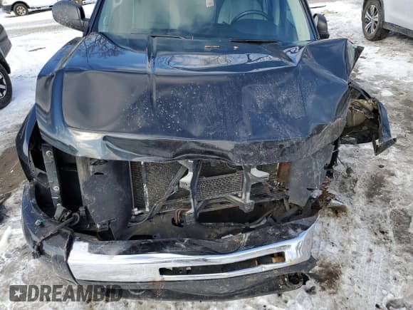 ✅ 2009 Chevrolet Silverado 1500 1LT • VIN: 1GCEK19J59Z264762 • Lot: 89046375. Listed on Copart with 207,460 mi. Free auction sales archive from the USA and detailed vehicle history report at DreamBid. Image 11.
