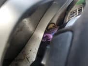 ✅ 2010 Chevrolet Camaro 1LT • VIN: 2G1FB1EV6A9199358 • Лот: 69037145. Опубликован ранее на Copart с пробегом Не указан. Бесплатный доступ к архиву аукционных продаж из США и подробный отчёт об истории автомобиля на DreamBid. Изображение 9.