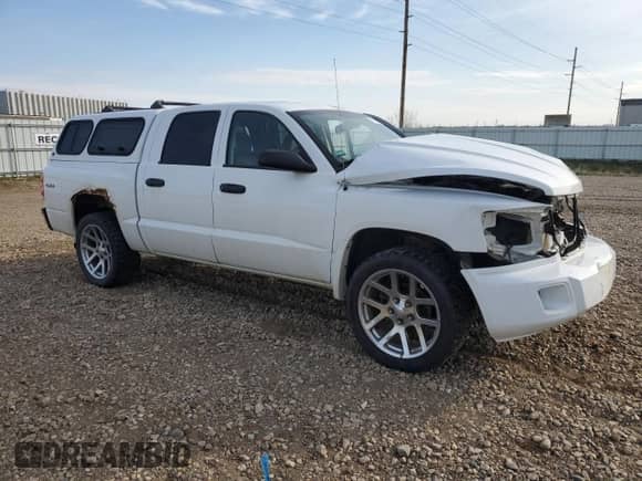 2010 Dodge Dakota ST z VIN 1D7CW2GK4AS145987, wystawiony jako Copart lot #55703475 z przebiegiem 201 156 mil mil oraz Szkoda całkowita • Salvage title. Historia ofert i sprzedaży dostępna na DreamBid. Obrazek 4.