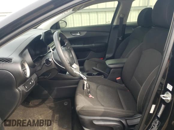 ✅ 2019 Kia Forte LXS • VIN: 3KPF24AD7KE091730 • Lot: 58239955. Listed on Copart with 90,006 mi. Free auction sales archive from the USA and detailed vehicle history report at DreamBid. Image 7.