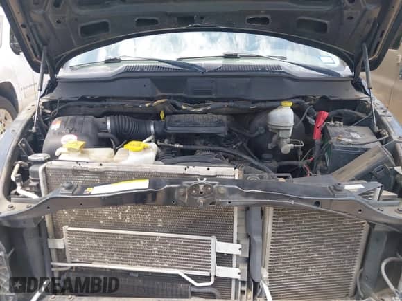 2007 Dodge 1500 ST z VIN 1D7HA18K17J628431, wystawiony jako IAAI lot #42890384 z przebiegiem 129 065 mil mil oraz . Historia ofert i sprzedaży dostępna na DreamBid. Obrazek 10.