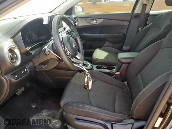 ✅ 2019 Kia Forte LXS • VIN: 3KPF24AD8KE077142 • Lot: 81458915. Listed on Copart with 108,817 mi. Free auction sales archive from the USA and detailed vehicle history report at DreamBid. Image 7.