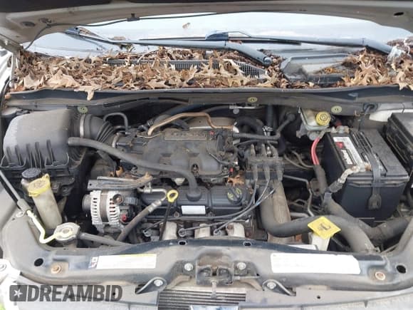 ✅ 2010 Dodge Grand Caravan SXT • VIN: 2D4RN5D14AR349004 • Lot: 43049326. Wystawiony na IAAI z przebiegiem Nie podano. Bezpłatny archiwum sprzedaży aukcyjnych z USA i szczegółowy raport historii pojazdu na DreamBid. Zdjęcie 10.