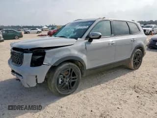 ✅ 2024 Kia Telluride SX Prestige X-Line • VIN: 5XYP5DGC9RG455959 • Lot: 57141175. Listed on Copart with 20,199 mi. Free auction sales archive from the USA and detailed vehicle history report at DreamBid. Image 1.