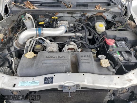 ✅ 2001 Dodge Dakota Sport • VIN: 1B7HL2AN71S275967 • Lot: 42954505. Wystawiony na Copart z przebiegiem 168 681 mil. Bezpłatny archiwum sprzedaży aukcyjnych z USA i szczegółowy raport historii pojazdu na DreamBid. Zdjęcie 11.