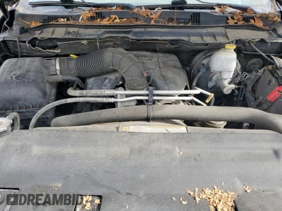 ✅ 2010 Dodge 1500 SLT • VIN: 1D7RV1GT2AS232108 • Lot: 46876005. Wystawiony na Copart z przebiegiem 176 412 mil. Bezpłatny archiwum sprzedaży aukcyjnych z USA i szczegółowy raport historii pojazdu na DreamBid. Zdjęcie 11.