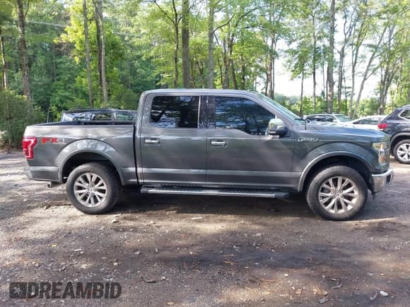 ✅ 2016 Ford F-150 XLT • VIN: 1FTEW1EF0GFB94737 • Lot: 42756404. Wystawiony na IAAI z przebiegiem 175 314 mil. Bezpłatny archiwum sprzedaży aukcyjnych z USA i szczegółowy raport historii pojazdu na DreamBid. Zdjęcie 13.
