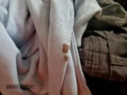 ✅ 2018 Alfa Romeo Stelvio Ti • VIN: ZASFAKBN1J7B93142 • Lot: 93327395. Wystawiony na Copart z przebiegiem 102 796 mil. Bezpłatny archiwum sprzedaży aukcyjnych z USA i szczegółowy raport historii pojazdu na DreamBid. Zdjęcie 10.