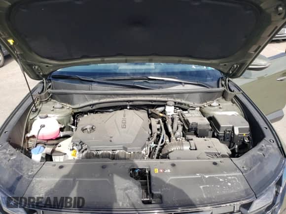 2025 Hyundai Tucson SEL Convenience with VIN 5NMJCCDE3SH463224, listed as a Copart auction lot 69249385 with 10,249 mi miles and Salvage title. Bid and sale history available at DreamBid. Image 12.