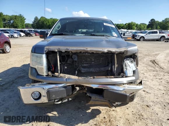 ✅ 2010 Ford F-150 XL • VIN: 1FTEX1E81AFB70386 • Lot: 56473345. Listed on Copart with 194,006 mi. Free auction sales archive from the USA and detailed vehicle history report at DreamBid. Image 5.