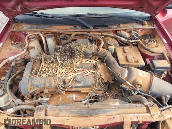 ✅ 2003 Ford ZX2 ZX2 Standard • VIN: 3FAFP11313R154389 • Lot: 42780645. Wystawiony na IAAI z przebiegiem 86 817 mil. Bezpłatny archiwum sprzedaży aukcyjnych z USA i szczegółowy raport historii pojazdu na DreamBid. Zdjęcie 10.