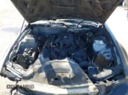 ✅ 2008 Ford Mustang GT Deluxe • VIN: 1ZVHT82H885101553 • Lot: 43214603. Listed on IAAI with Not provided. Free auction sales archive from the USA and detailed vehicle history report at DreamBid. Image 10.