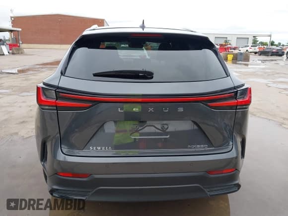 ✅ 2024 Lexus NX 250 Premium • VIN: 2T2GDCAZ7RC015465 • Lot: 42171196. Listed on IAAI with 14,322 mi. Free auction sales archive from the USA and detailed vehicle history report at DreamBid. Image 17.