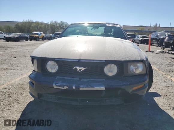 ✅ 2007 Ford Mustang GT Deluxe • VIN: 1ZVHT82H275341616 • Лот: 90125515. Опубликован ранее на Copart с пробегом 100 561 миль. Бесплатный доступ к архиву аукционных продаж из США и подробный отчёт об истории автомобиля на DreamBid. Изображение 5.