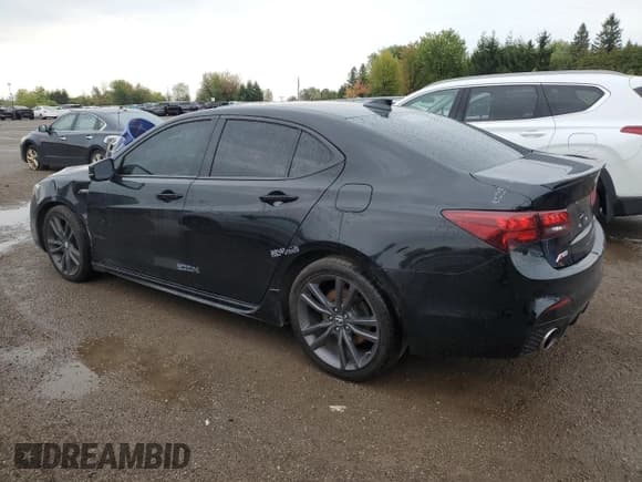✅ 2020 Acura TLX Technology • VIN: 19UUB3F49LA800027 • Lot: 81028025. Listed on Copart with Not provided. Free auction sales archive from the USA and detailed vehicle history report at DreamBid. Image 2.