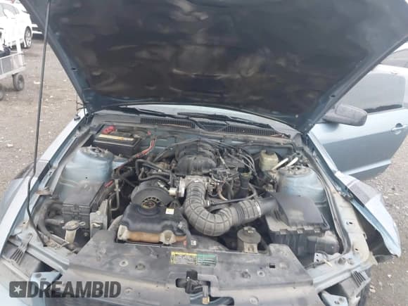 ✅ 2005 Ford Mustang Deluxe • VIN: 1ZVFT80N055108069 • Лот: 43258701. Опубликован ранее на IAAI с пробегом 253 074 миль. Бесплатный доступ к архиву аукционных продаж из США и подробный отчёт об истории автомобиля на DreamBid. Изображение 10.