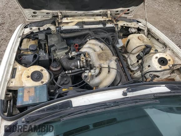 ✅ 1989 BMW 3 Series • VIN: WBABB2306K8864952 • Lot: 51328615. Wystawiony na Copart z przebiegiem 165 741 mil. Bezpłatny archiwum sprzedaży aukcyjnych z USA i szczegółowy raport historii pojazdu na DreamBid. Zdjęcie 11.