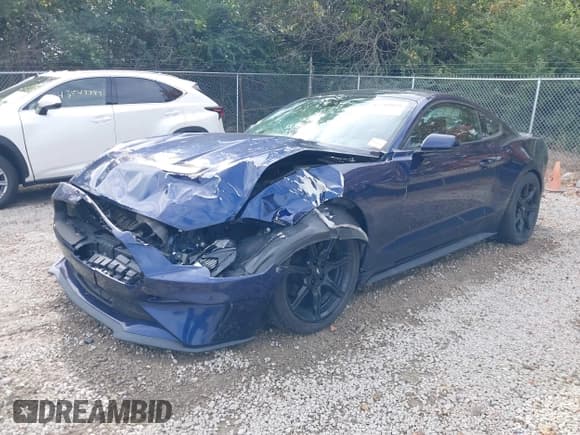 ✅ 2019 Ford Mustang EcoBoost • VIN: 1FA6P8TH3K5167776 • Lot: 43544088. Wystawiony na IAAI z przebiegiem 83 964 mil. Bezpłatny archiwum sprzedaży aukcyjnych z USA i szczegółowy raport historii pojazdu na DreamBid. Zdjęcie 2.