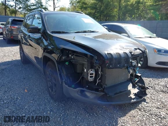 ✅ 2017 Jeep Cherokee Latitude • VIN: 1C4PJMCB7HW570179 • Lot: 43137755. Listed on IAAI with 89,151 mi. Free auction sales archive from the USA and detailed vehicle history report at DreamBid. Image 1.