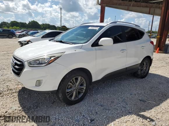 2015 Hyundai Tucson SE with VIN KM8JUCAG0FU079303, listed as a Copart auction lot 49805903 with Not provided miles and . Bid and sale history available at DreamBid. Image 1.