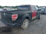 ✅ 2009 Ford F-150 XL • VIN: 1FTPW14V49KC59679 • Lot: 42524021. Listed on IAAI with 166,680 mi. Free auction sales archive from the USA and detailed vehicle history report at DreamBid. Image 4.