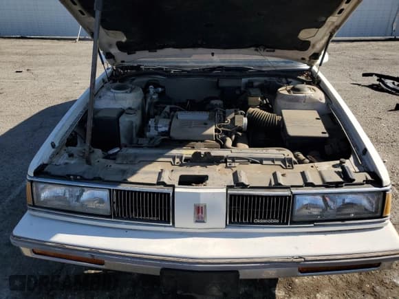 ✅ 1988 Oldsmobile 88 • VIN: 1G3HY54C6J1800245 • Lot: 80117064. Wystawiony na Copart z przebiegiem 48 621 mil. Bezpłatny archiwum sprzedaży aukcyjnych z USA i szczegółowy raport historii pojazdu na DreamBid. Zdjęcie 11.