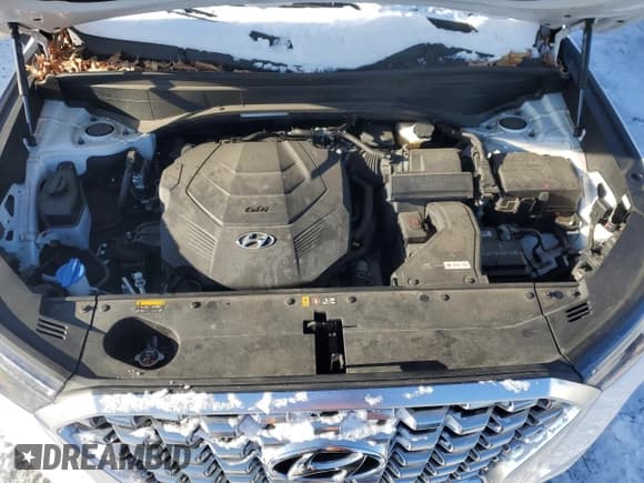 ✅ 2020 Hyundai Palisade SEL • VIN: KM8R4DHE8LU095273 • Lot: 86957484. Listed on Copart with 65,615 mi. Free auction sales archive from the USA and detailed vehicle history report at DreamBid. Image 12.