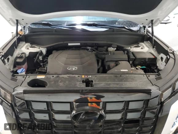 ✅ 2024 Hyundai Palisade Limited • VIN: KM8R54GE3RU703076 • Лот: 46649735. Опубликован ранее на Copart с пробегом 35 043 миль. Бесплатный доступ к архиву аукционных продаж из США и подробный отчёт об истории автомобиля на DreamBid. Изображение 12.