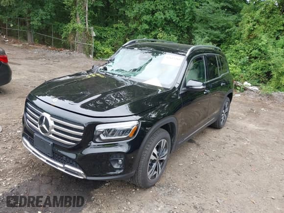 ✅ 2025 Mercedes-Benz GLB 250 • VIN: W1N4M4HBXSW386437 • Lot: 42612285. Wystawiony na IAAI z przebiegiem 11 154 mil. Bezpłatny archiwum sprzedaży aukcyjnych z USA i szczegółowy raport historii pojazdu na DreamBid. Zdjęcie 18.