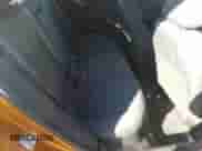 ✅ 2017 Chevrolet Cruze LT • VIN: 3G1BE6SMXHS581338 • Лот: 55974490. Размещён на Copart с пробегом 29 595 миль миль. Получите бесплатный доступ к архиву аукционных продаж из США и посмотрите подробный отчёт об истории автомобиля на DreamBid. Изображение 6.